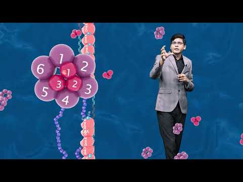 Let's Talk Academy Video 1