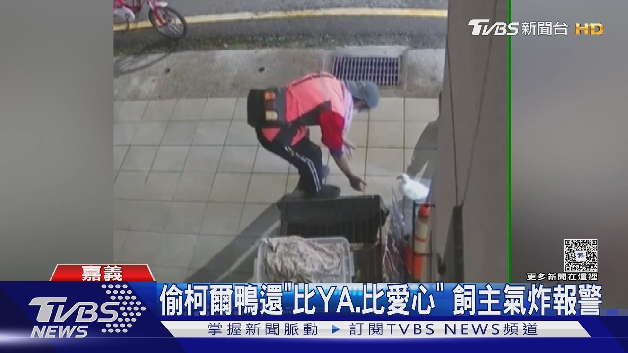 影音／太囂張！男偷2隻柯爾鴨　犯案前先對監視器「比YA、比愛心」