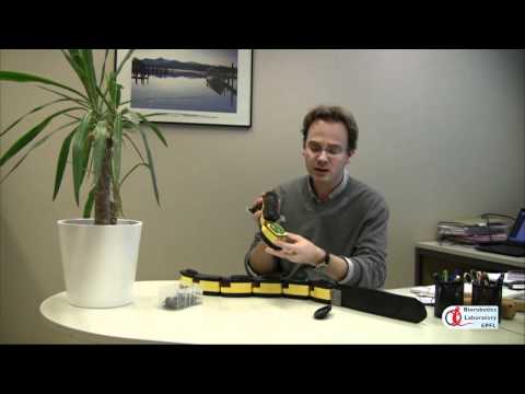 AmphiBot (Robot Snake) Review Video 1