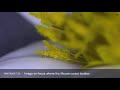 Tucsen TMetrics T20 3D Super Depth Of Field Microscope With Optotune Liquid Lens