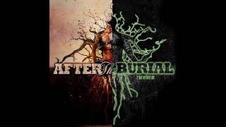After The Burial - Cursing Akhenaten (Original Version) (Alt. Mix)