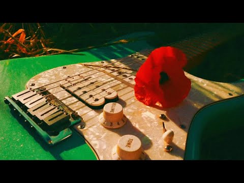 Nevo Angel - Colorecovery (Visualizer)