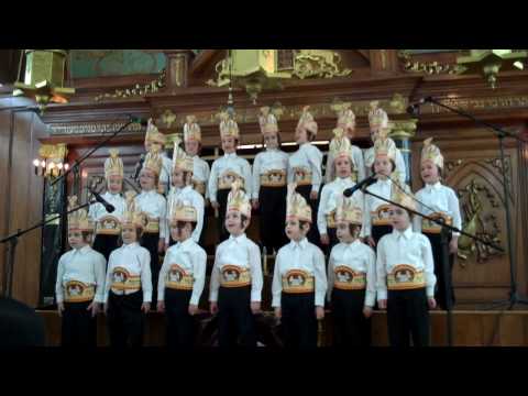 Viznitz Boro Park Talmud Torah Chumash party 1