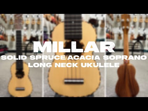 Millar SP-210L with rare hard case image 20