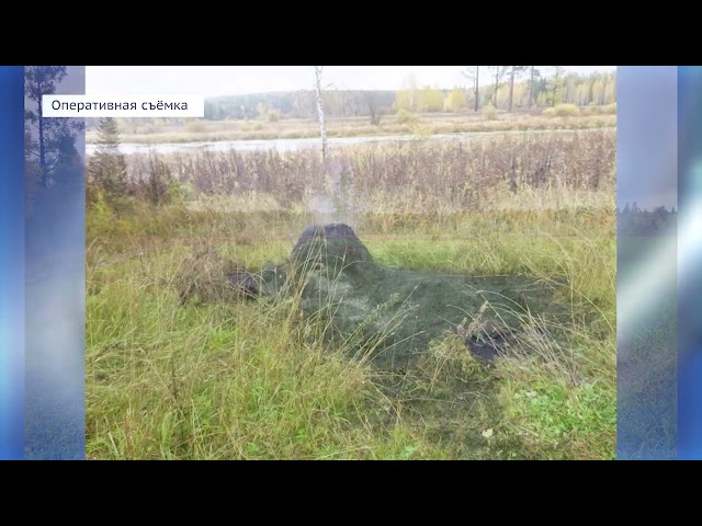 В Чунском районе совершён поджёг полутора тонн сена