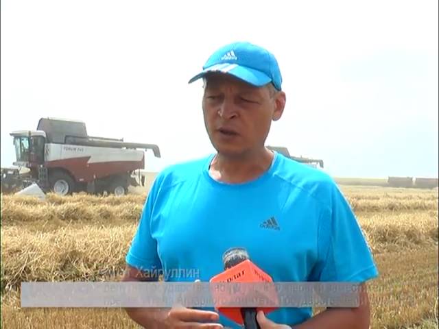  «Нет предпосылок к подорожанию хлеба»