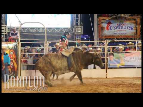 Final do Rodeio de Herculândia 2013, na voz de Almir Cambra.