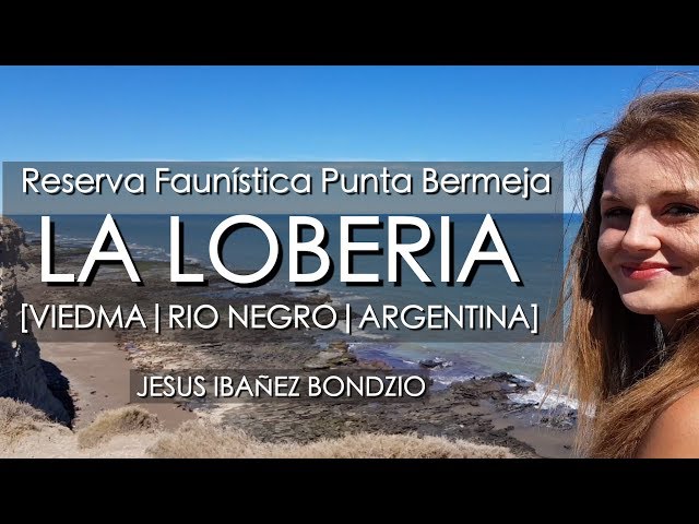 Reserva Faunística Punta Bermeja, Rio Negro, Argentina
