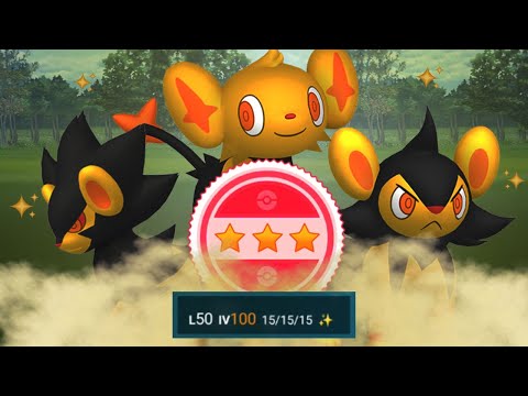 EVOLUI E TALEI PRO LEVEL 50 A FAMÍLIA SHINY 100% DO SHINX! (+1M DE STARDUST) - POKÉMON GO