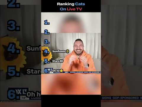 Funniest Cats On Live TV📺😹