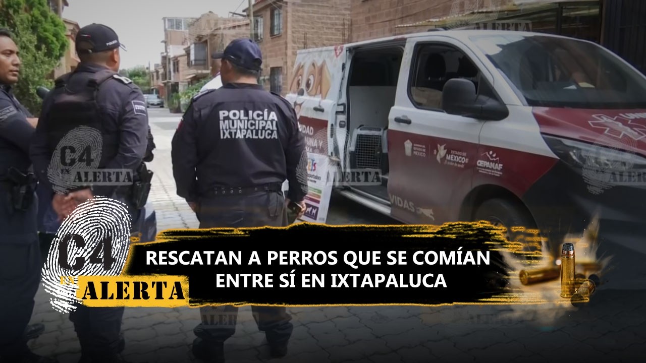 Rescatan a perros que se comían entre ellos en Ixtapaluca, Edomex; en total eran 12