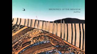 Birdsongs of the Mesozoic - True Wheel