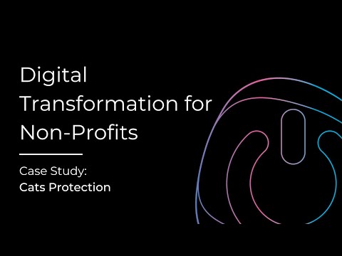 Cats Protection Achieving Strategic Goals with Digital Transformation