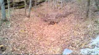 preview picture of video 'Hidden Falls Estates Walking Trail - Video 2'