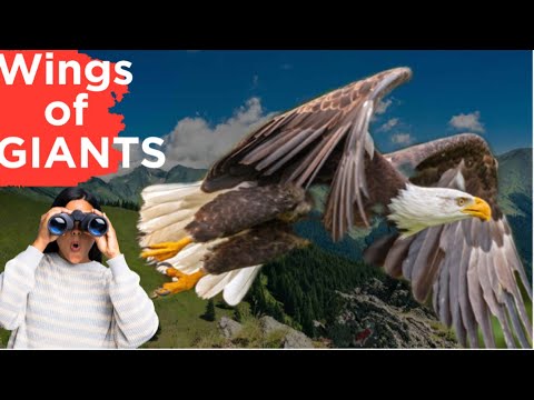 Wings of Giants: Unveiling the Top 10 Largest Birds on Earth@The10chronicles