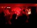 Summer Cats--Fulton Gurls