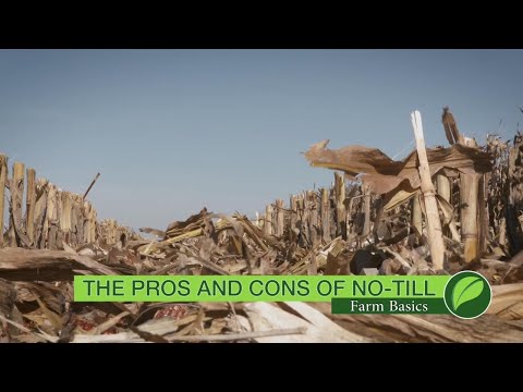 YouTube video about Pros and Cons of Farming with Only One Crop