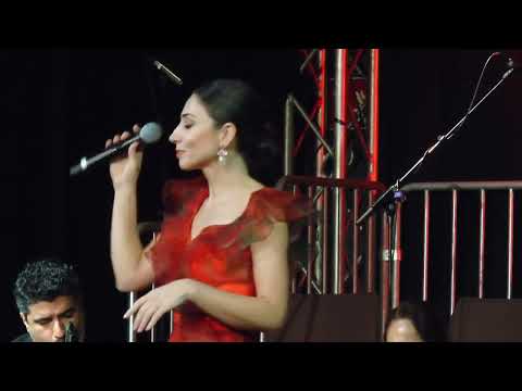 Oya Isboga - Bir Kerre Bakanlar - Sifa Veren Makamlar Konseri 15.12.2024 Eski Dostlar TSM  Wuppertal