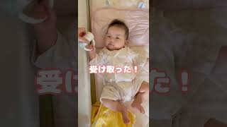 初めておもちゃを受け取る / Grabbing a toy for the first time.