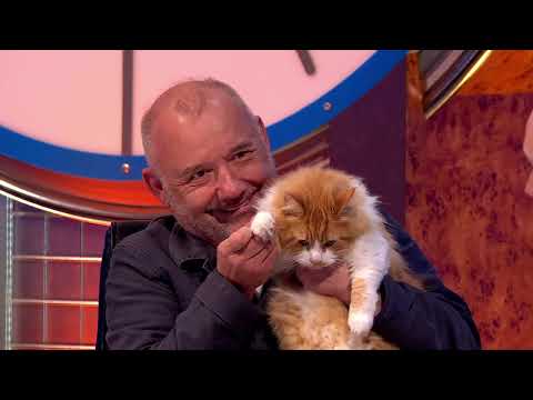 8 Out of 10 Cats Does Countdown S28E1 | Bob Mortimer, Tom Allen, Richard Ayoade