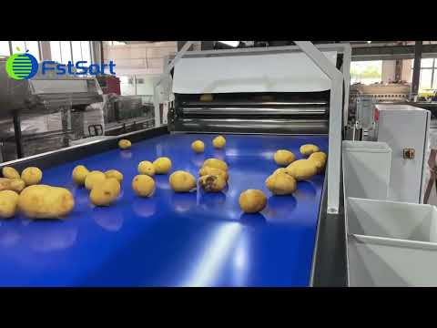 Potato Cleaning and Grading Machine;  Potato Grading Sorting Machine; #potato #sorting #grading
