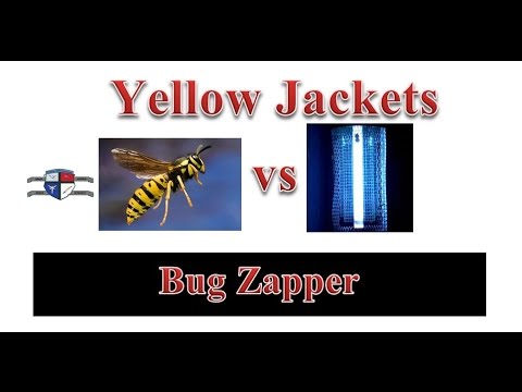 image-Do bug zappers work for bees and wasps?