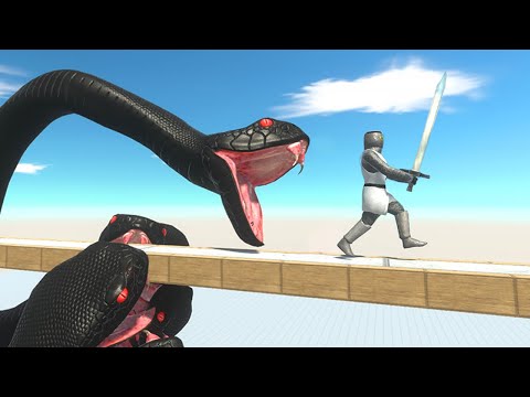 Who Can Escape From BLACK MAMBA - Animal Revolt Battle Simulator