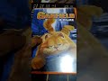 DVD Garfield O Filme