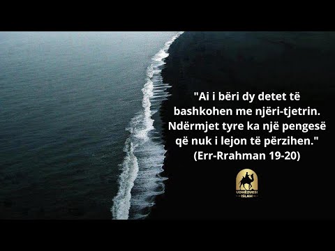 Dy detet që nuk përzihen me njëri tjetrin!