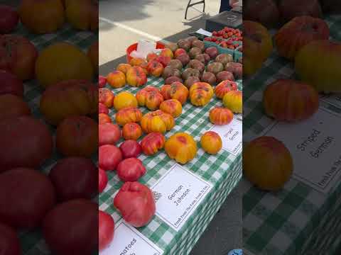 Striped German tomatoes