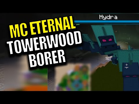 Minecraft MC Eternal Modpack Chapter 2 Ep 69 - Towerwood Borer