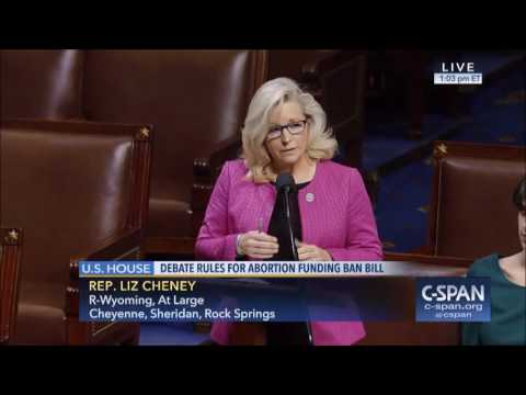 Rep. Lynn Cheney (R-WY); remarks on abortion transparency