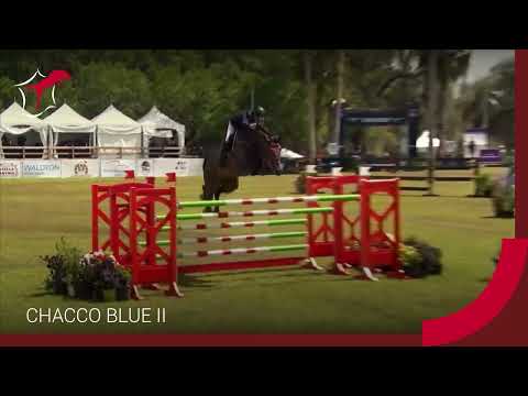 CHACCO BLUE II