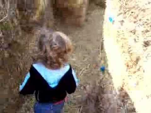 Hay Bale Maze
