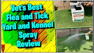 Keep Your Yard Safe For Your Dog and Children! || Vet