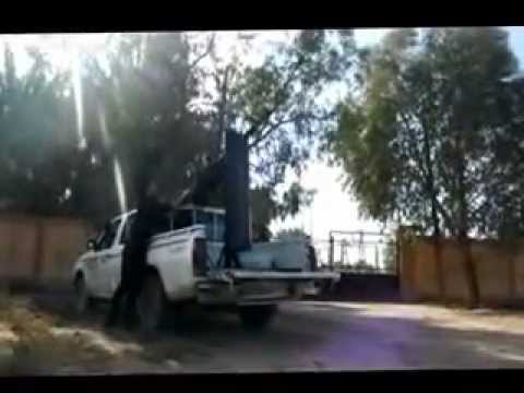 التصدي للطيران الحربي في سماء الميادين من قبل كتيبة المهام الخاصة