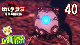 【40】ハイラル城へ突入！ゼルダ無双 厄災の黙示録を実況学習【VTuber】
