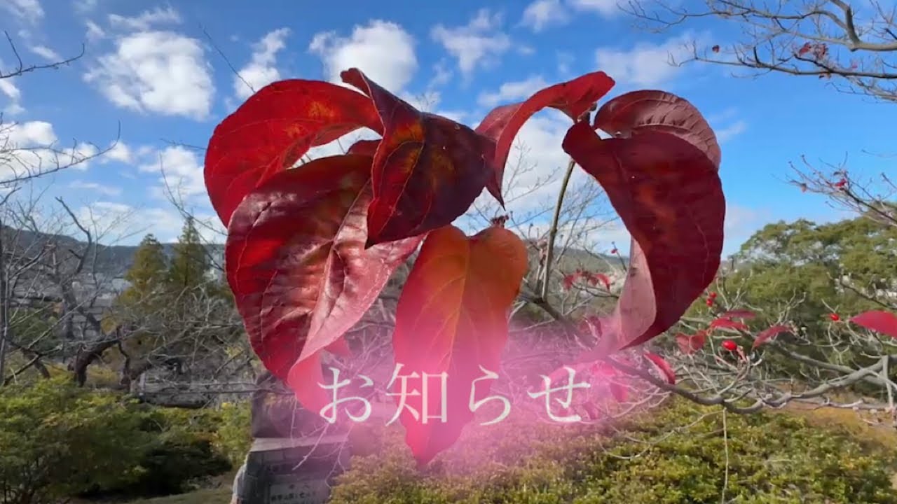 【お知らせ】今後のチャンネル(動画)作りについて。