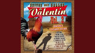 Doce Gallinas y un Gallo