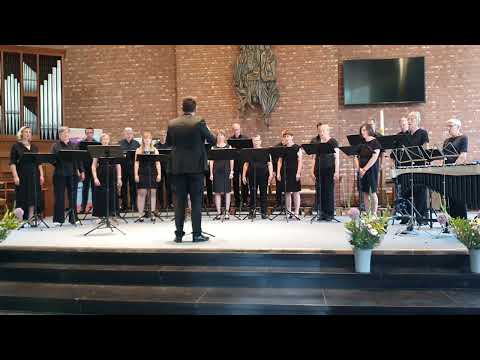 The Night (Miškinis) - Pro Cantione