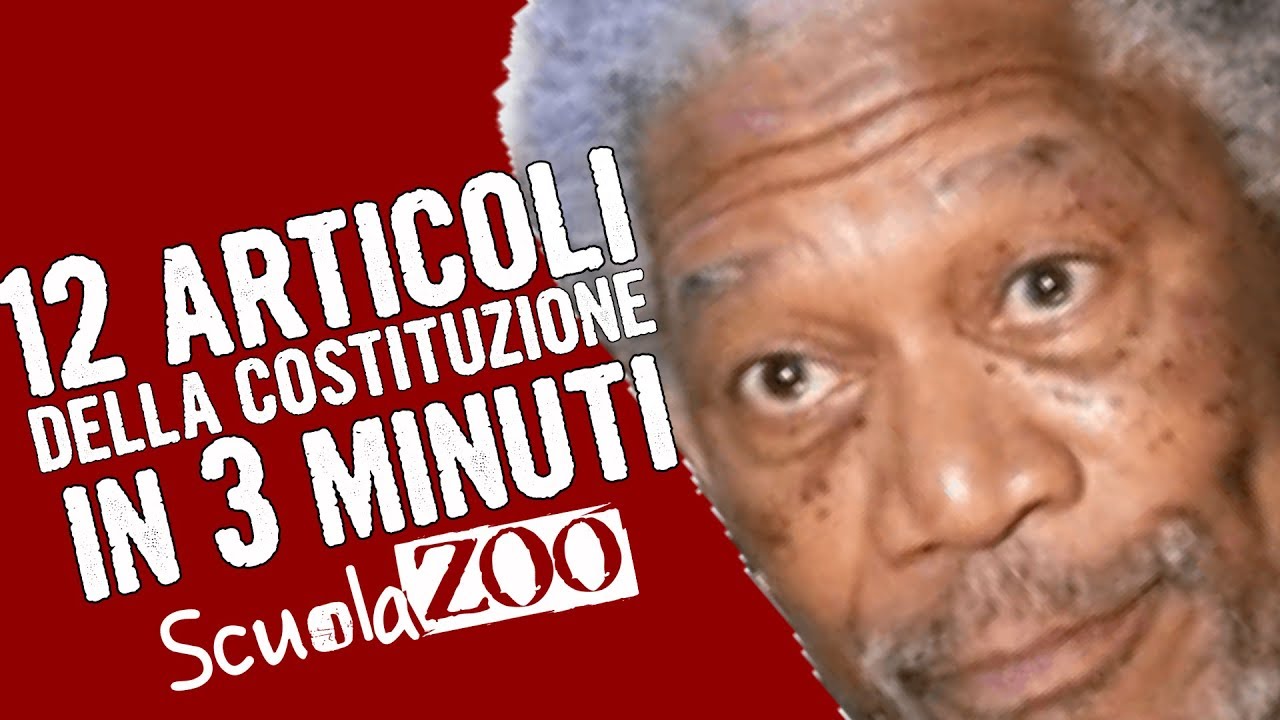 #NocciolineSpeciali  - 12 ARTICOLI della COSTITUZIONE in 3 MINUTI (spiegati facili) #ScuolaZoo