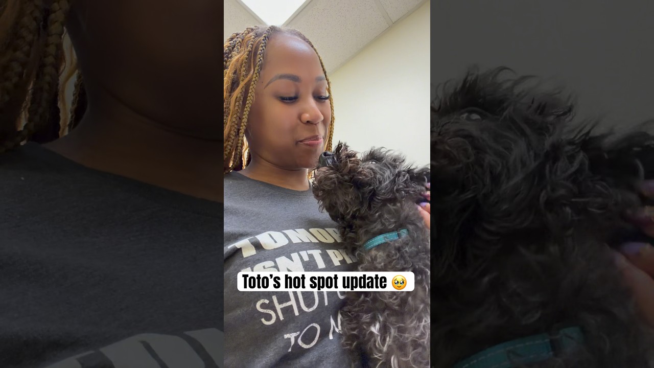 We both dramatic for no reason! 😂 #rescuedog #dogshorts #dogmom ￼