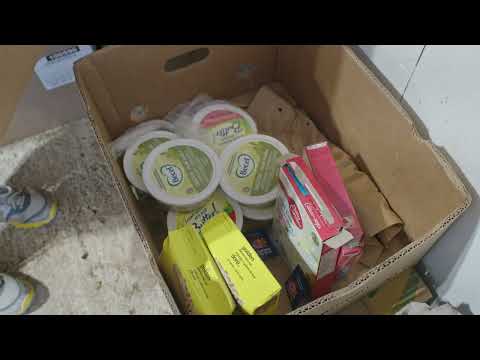 MMSB  Champion - Windy Heights Farm