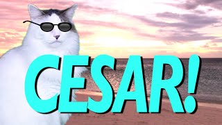 HAPPY BIRTHDAY CESAR! - EPIC CAT Happy Birthday Song