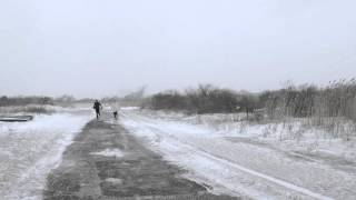 High Highs - Movement (Official Stream)