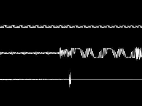 Apidya - Meadows Edge 2 (Sega Genesis Cover)