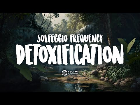 Whole Body Detoxification ✨ Full Body Healing ✨ Immune System Boost ✨ 741 Hz Solfeggio Frequency