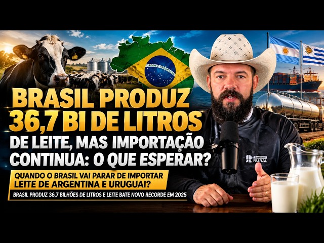 Brasil Produz 36,7 Bi de Litros de Leite, Mas Importação Continua: O Que Esperar?