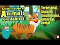 HABITAT OF ANIMALS Classification Of Animals On Habitat The Dr Binocs Show Peekaboo Kidz