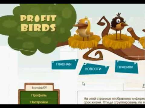 Profitbirts как за 10 дней заработать 5500 рублей .